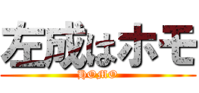 左成はホモ (HOMO)