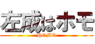 左成はホモ (HOMO)