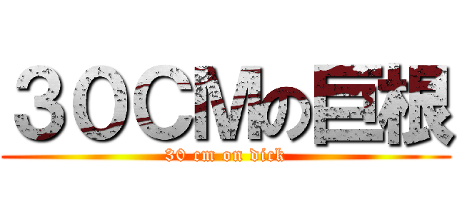 ３０ＣＭの巨根 (30 cm on dick)