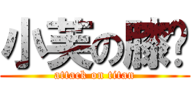 小芙の膝擊 (attack on titan)