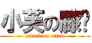 小芙の膝擊 (attack on titan)