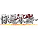 你是笨蛋~ (attack on titan)