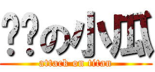 芊姊の小瓜 (attack on titan)