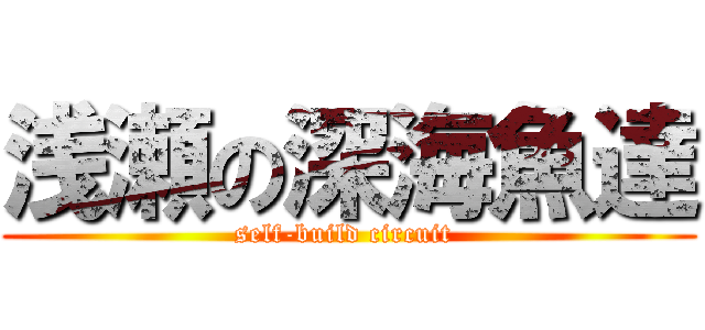 浅瀬の深海魚達 (self-build circuit )