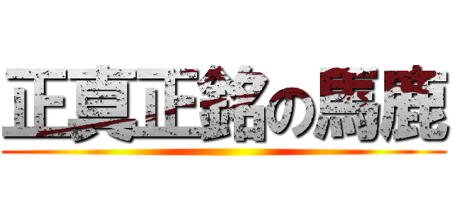 正真正銘の馬鹿 ()