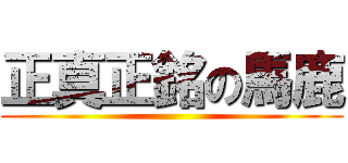 正真正銘の馬鹿 ()