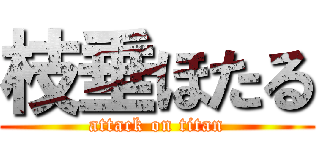 枝垂ほたる (attack on titan)