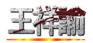 王祥諭 ()