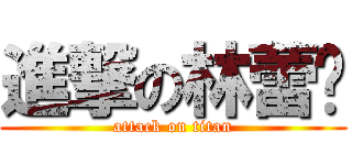 進撃の林蕾婷 (attack on titan)