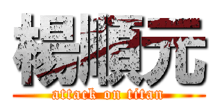 楊順元 (attack on titan)