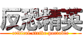 反恐精英 (critical strike portable)