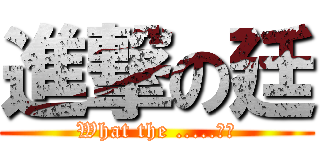 進撃の廷 (What the .....咳咳)