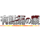 有點痛の腹 (attack on titan)