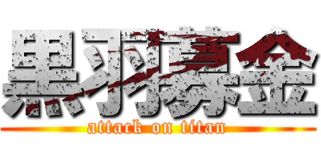 黒羽募金 (attack on titan)