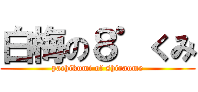 白梅の８゜くみ (pachikumi of shiraume)