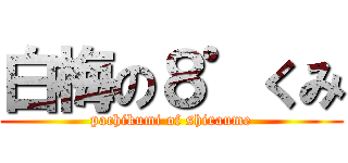 白梅の８゜くみ (pachikumi of shiraume)