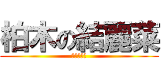 柏木の結麗菜 (クリぼっち)