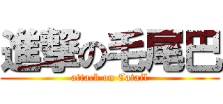 進撃の毛尾巴 (attack on Catail)