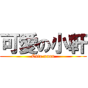 可愛の小軒 (Cute xuan)