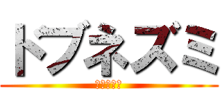 ドブネズミ (ドブネズミ)