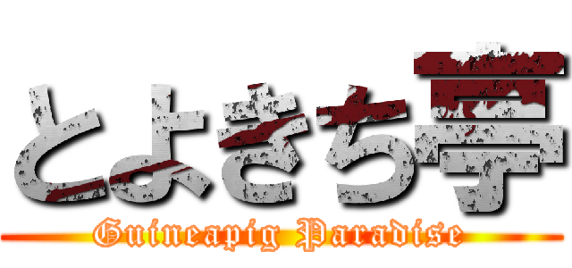 とよきち亭 (Guineapig Paradise)