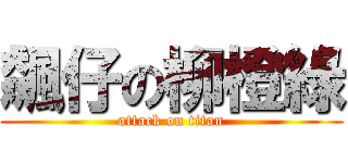 飆仔の柳橙綠 (attack on titan)