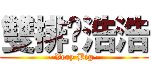 雙排丫浩浩 (~Very Big~)