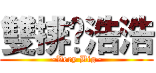 雙排丫浩浩 (~Very Big~)