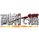 副剤で癌 (SPY TV)