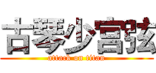 古琴少宫弦 (attack on titan)