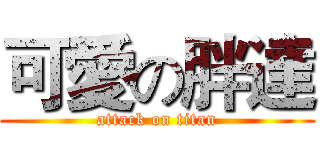 可愛の胖達 (attack on titan)