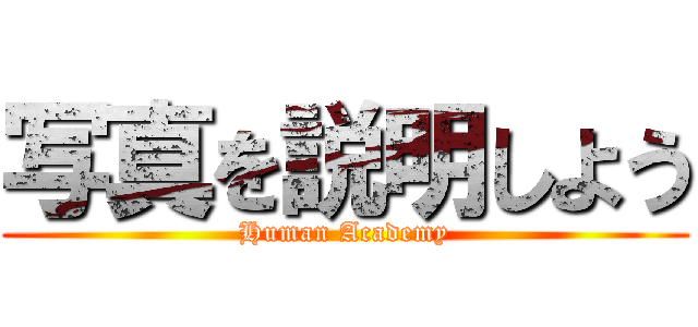 写真を説明しよう (Human Academy)