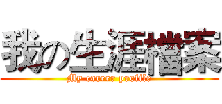 我の生涯檔案 (My career profile)