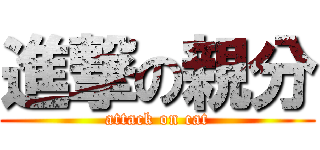 進撃の親分 (attack on cat)