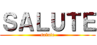 ＳＡＬＵＴＥ (salute)