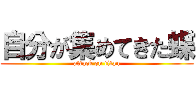自分が集めてきた蝶 (attack on titan)