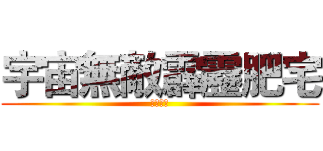 宇宙無敵霹靂肥宅 (阮阮炫風)