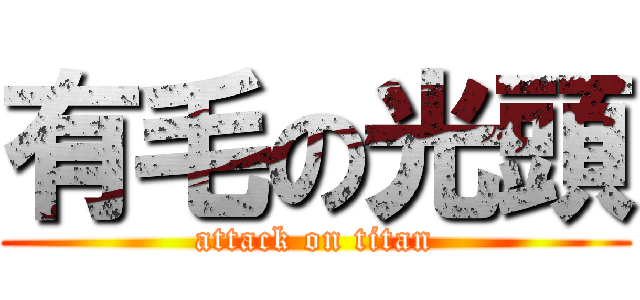 有毛の光頭 (attack on titan)