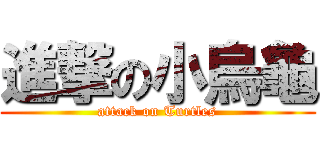 進撃の小烏龜 (attack on Turtles)