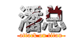 潘总 (attack on titan)