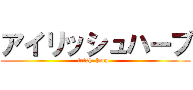 アイリッシュハープ (irish  harp  )