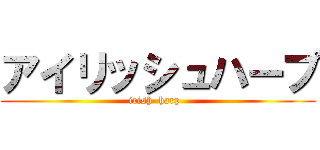 アイリッシュハープ (irish  harp  )