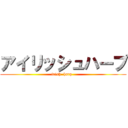 アイリッシュハープ (irish  harp  )