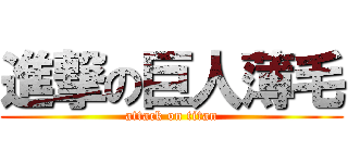 進撃の巨人薄毛 (attack on titan)
