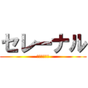 セレーナル (ガロン　一択)