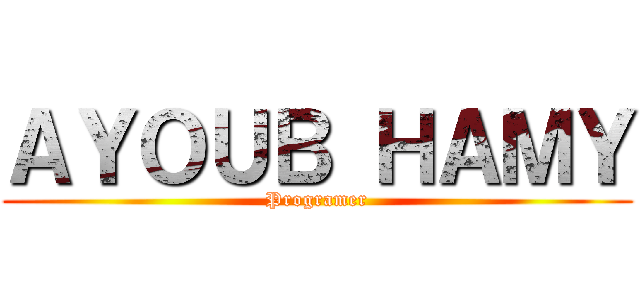ＡＹＯＵＢ ＨＡＭＹ (Programer)