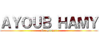 ＡＹＯＵＢ ＨＡＭＹ (Programer)