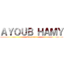 ＡＹＯＵＢ ＨＡＭＹ (Programer)