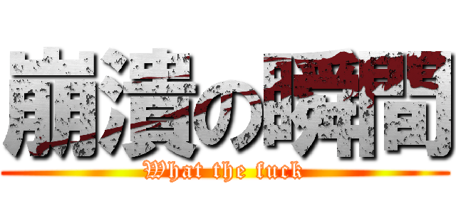 崩潰の瞬間 (What the fuck)