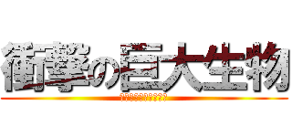 衝撃の巨大生物 (夏休みイベント開催中)